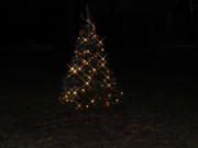 Rozsvícení vánočního stromku u školky